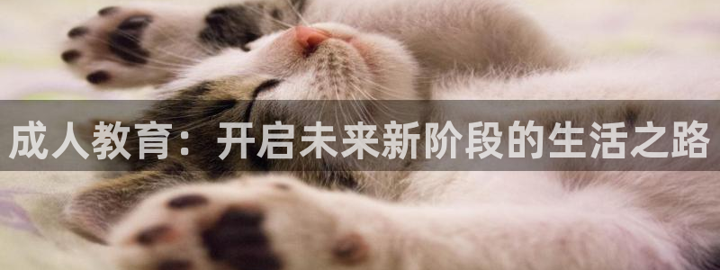 新航娱乐公司艺人：成人教育：开启未来新阶段的生活之路