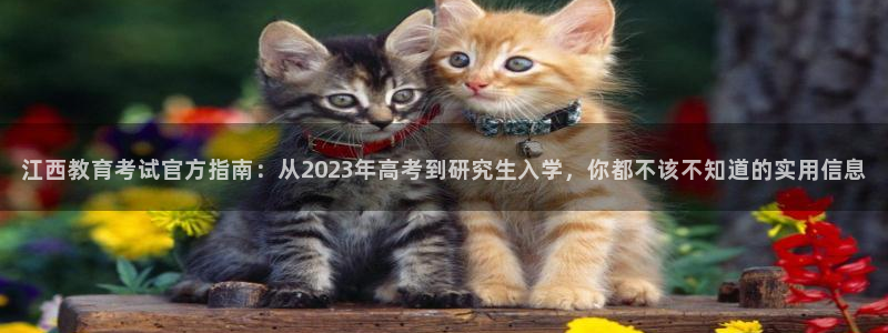 新航海娱乐会所电话：江西教育考试官方指南：从2023年高考到