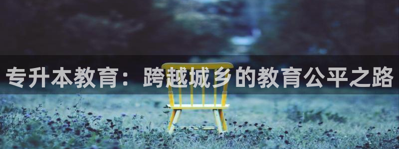 新航海娱乐会所：专升本教育：跨越城乡的教育公平之路