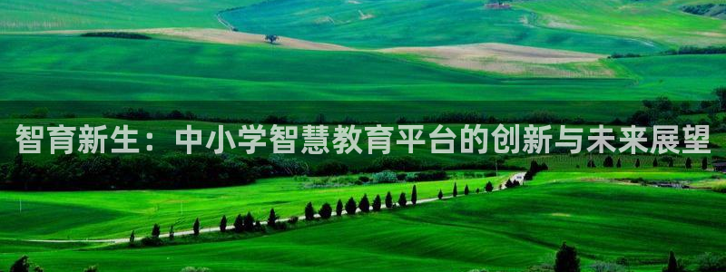 新航娱乐公司问题分析：智育新生：中小学智慧教育平台的创新与未