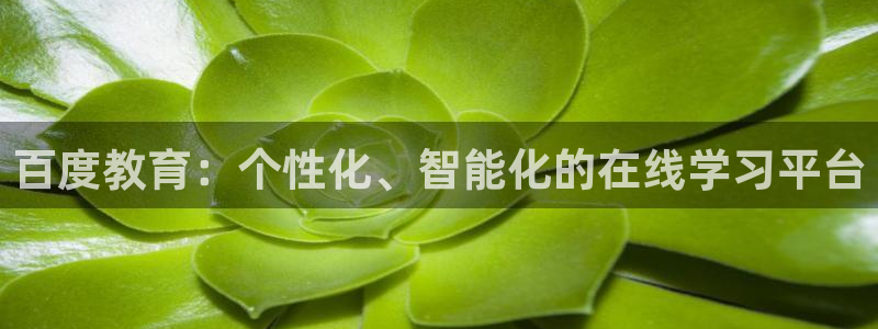 娱乐新航向：百度教育：个性化、智能化的在线学习平台