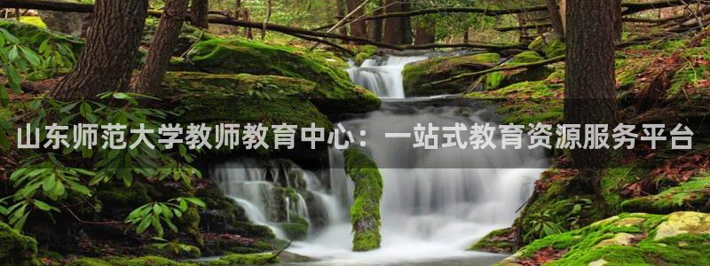 新航国际娱乐：山东师范大学教师教育中心：一站式教育资源服务平