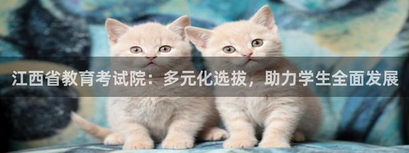 中国新航娱乐平台官网：江西省教育考试院：多元化选拔，助力学生