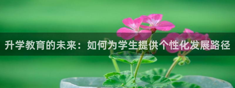 新航娱乐登录入口：升学教育的未来：如何为学生提供个性化发展路