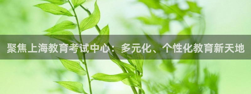 新航娱乐官方网站入口：聚焦上海教育考试中心：多元化、个性化教