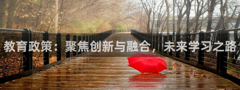 新航娱乐传媒招聘信息：教育政策：聚焦创新与融合，未来学习之路