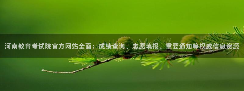 新航娱乐公司地址：河南教育考试院官方网站全面：成绩查询、志愿