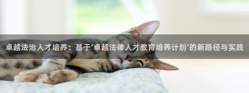 新航 娱乐系统：卓越法治人才培养：基于‘卓越法律人才教育培养