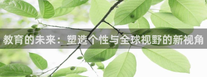 新航海大酒店娱乐城：教育的未来：塑造个性与全球视野的新视角