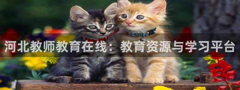 武汉中创新航娱乐室：河北教师教育在线：教育资源与学习平台