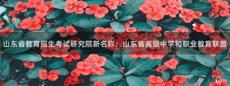 新航海大酒店娱乐城：山东省教育招生考试研究院新名称：山东省高