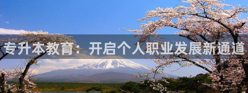 新航文化娱乐传媒招聘：专升本教育：开启个人职业发展新通道
