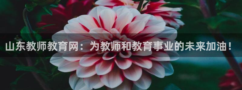 新航海娱乐会所：山东教师教育网：为教师和教育事业的未来加油！