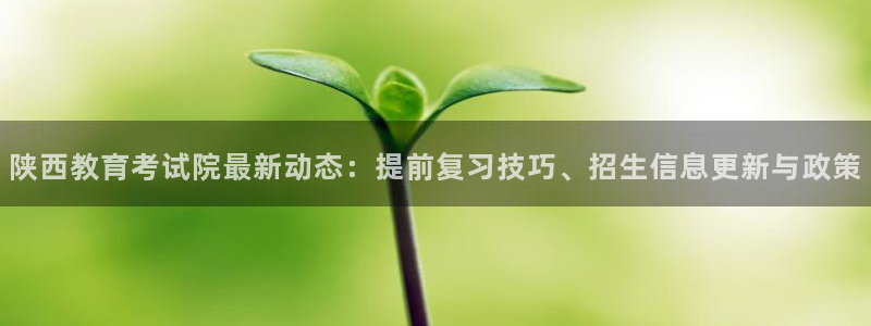 新航娱乐安卓版下载：陕西教育考试院最新动态：提前复习技巧、招