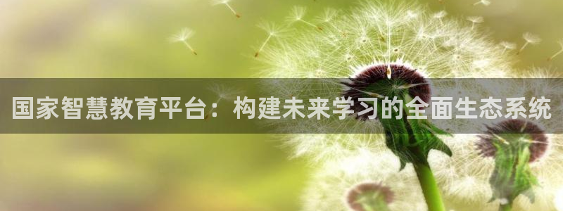 新航娱乐入网要求：国家智慧教育平台：构建未来学习的全面生态系