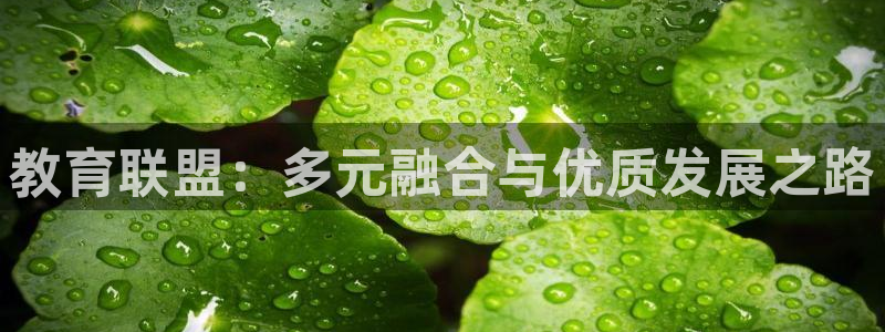 高州市新航线娱乐俱乐部：教育联盟：多元融合与优质发展之路