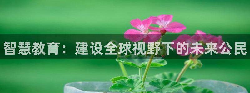 新航娱乐公司艺人：智慧教育：建设全球视野下的未来公民