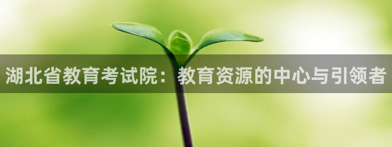 新航娱乐：湖北省教育考试院：教育资源的中心与引领者