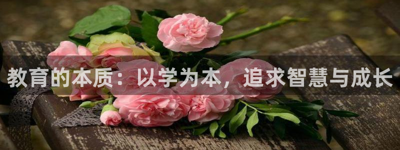 新航娱乐怎么开户：教育的本质：以学为本，追求智慧与成长
