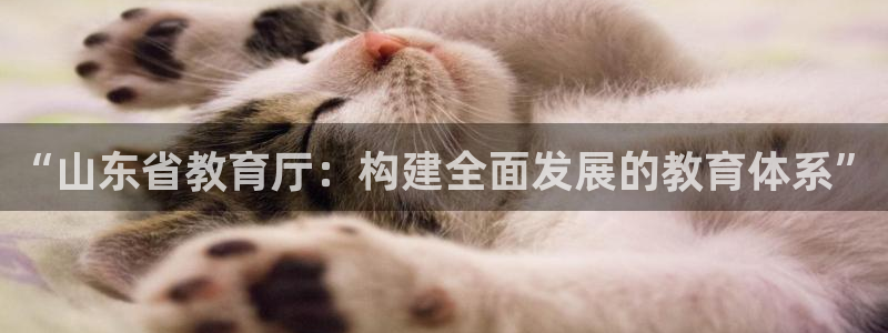 中国新航娱乐平台官网：“山东省教育厅：构建全面发展的教育体系