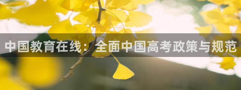 餐饮娱乐新航向：中国教育在线：全面中国高考政策与规范