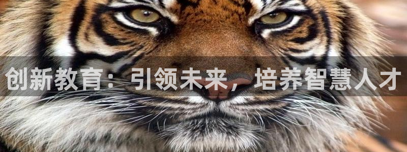 金城娱乐新航母：创新教育：引领未来，培养智慧人才