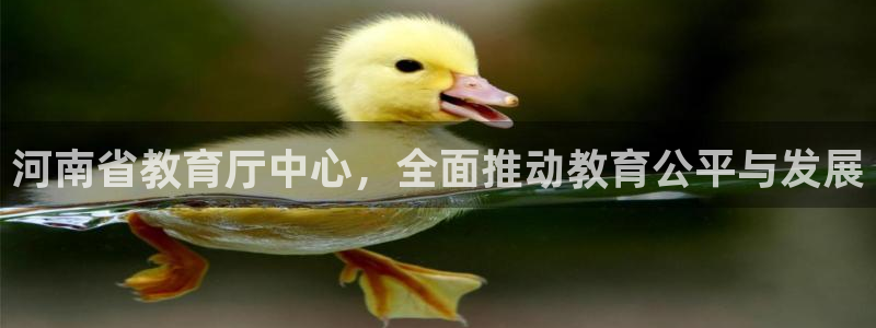 新航娱乐app下载：河南省教育厅中心，全面推动教育公平与发展