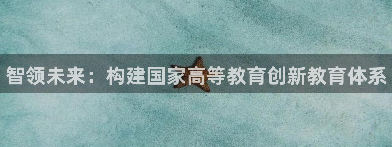 新航娱乐公司问题：智领未来：构建国家高等教育创新教育体系