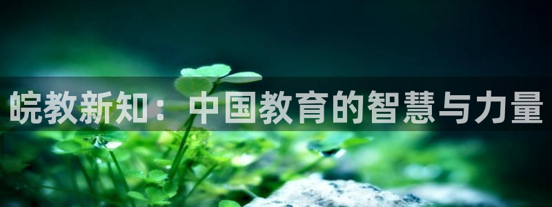 新航娱乐招商Q：皖教新知：中国教育的智慧与力量