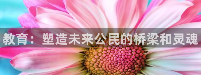 新航娱乐app下载安卓：教育：塑造未来公民的桥梁和灵魂