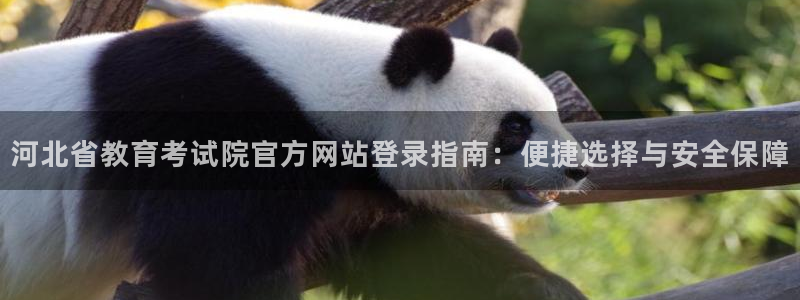新航娱乐设施：河北省教育考试院官方网站登录指南：便捷选择与安