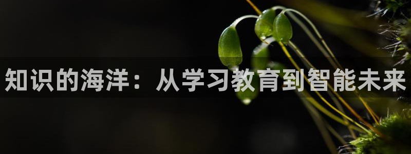 武汉中创新航娱乐室：知识的海洋：从学习教育到智能未来