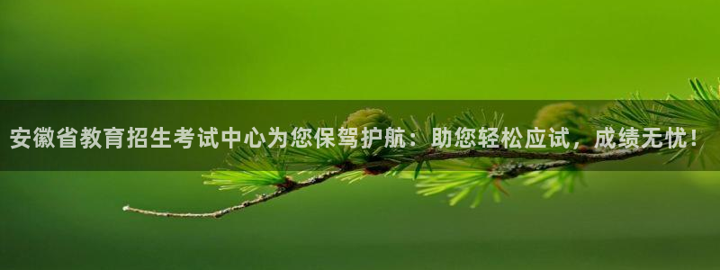 新航娱乐近期演出活动：安徽省教育招生考试中心为您保驾护航：助