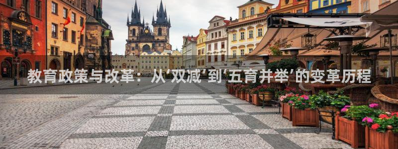 餐饮娱乐新航向：教育政策与改革：从‘双减’到‘五育并举’的变