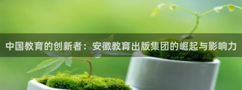 新航头等舱套房娱乐屏：中国教育的创新者：安徽教育出版集团的崛