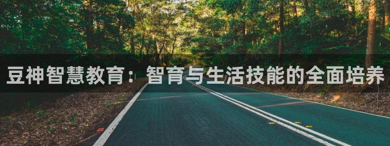 新航娱乐设施：豆神智慧教育：智育与生活技能的全面培养