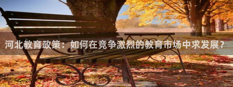 新航娱乐是干嘛的：河北教育政策：如何在竞争激烈的教育市场中求